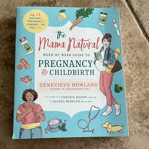Mama Natural Pregnancy Book